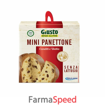 giusto senza glutine mini panettone uvetta e canditi 100 g