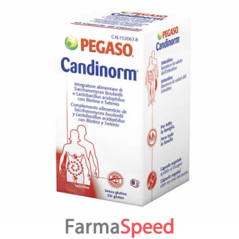 candinorm 30 capsule