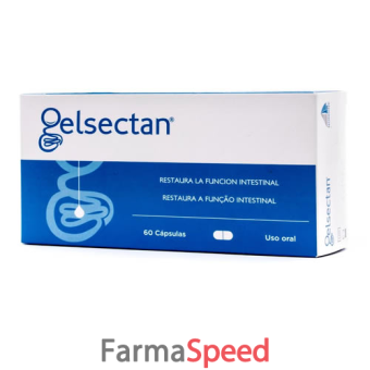 gelsectan 60 capsule