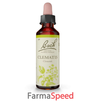 clematis bach original 20 ml