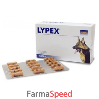 lypex 60 capsule