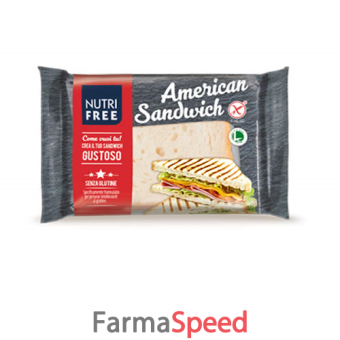 nutrifree american sandwich 60 g x 4 pezzi