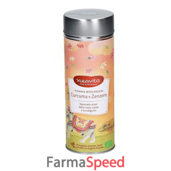 silver tin curcuma e zenzero bio 80 g
