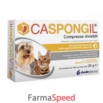 caspongil 30 compresse divisibili