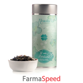 silver tin te' della fortuna sfuso 80 g