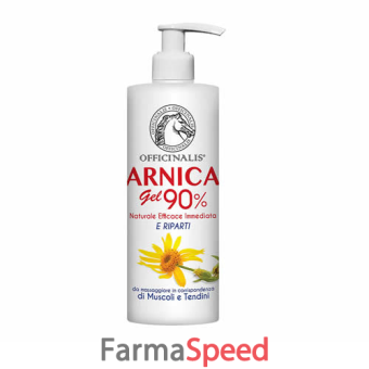 arnica gel 90% 250 ml