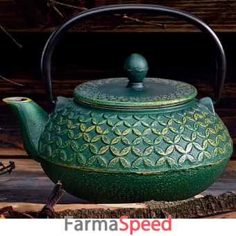 neavita teiera ghisa osaka verde da 800 ml
