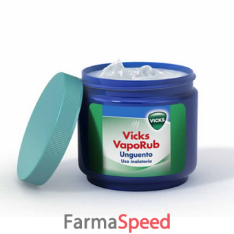 vicks vaporub - unguento per uso inalatorio vasetto 100 g