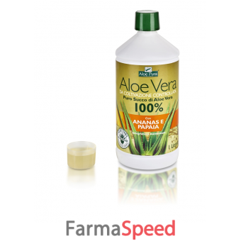 aloe vera succo ananas e papaya 1 l