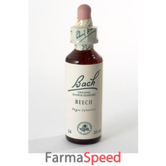 beech bach orig 10 ml