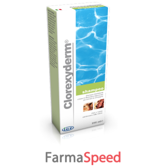clorexyderm shampoo 100 ml