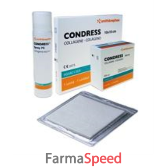 medicazone speciale attiva condress in collagene equino 10x10 cm 1 pezzo