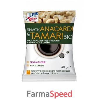 fsc snack anacardi e tamari bio vegan fonte di fibre 45 g