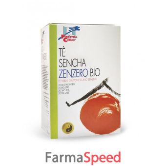 fsc te' sencha zenzero 20 filtri bio 40 g