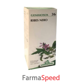 gemmosol 36 ribes nero 100 ml