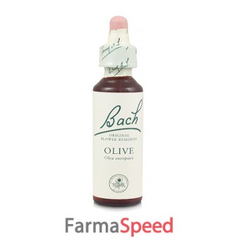 olive bach original 10 ml
