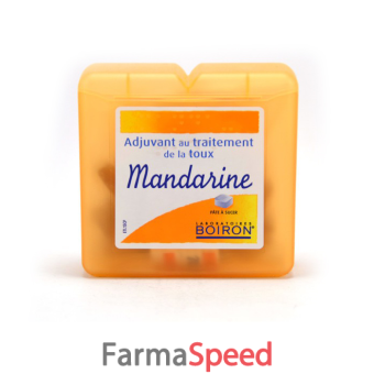pates mandarine past 60g